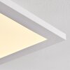 Salmi Ceiling Light LED aluminium, white, 1-light source