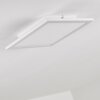 Salmi Ceiling Light LED aluminium, white, 1-light source