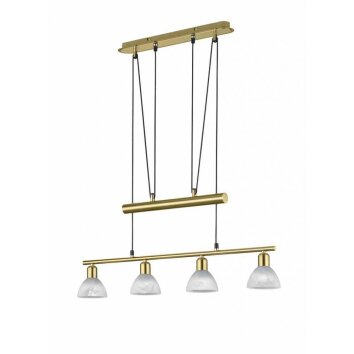 Trio LEVISTO hanging light LED brass, 4-light sources