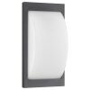 LCD EMDEN Outdoor Wall Light black, 1-light source