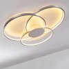 Skanes Ceiling Light LED matt nickel, 1-light source