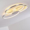 Skanes Ceiling Light LED matt nickel, 1-light source