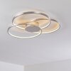 Skanes Ceiling Light LED matt nickel, 1-light source