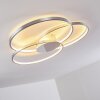 Skanes Ceiling Light LED matt nickel, 1-light source
