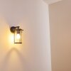 AIGLE Outdoor Wall Light black, 1-light source