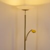 Argostoli Floor Lamp LED brass, 2-light sources