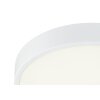 Globo KRULL Ceiling light LED white, 1-light source