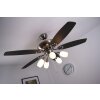 Globo JERRY fan chrome, stainless steel, matt nickel, 5-light sources