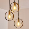 Pendant Light Leentje gold, black, 3-light sources