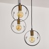 Pendant Light Leentje gold, black, 3-light sources