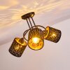 Liared Ceiling light black, 3-light sources