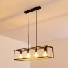 FLAMBEAU Pendant Light black, 4-light sources