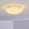Brighton STAR Ceiling light LED white, 1-light source, Remote control, Colour changer