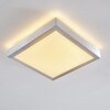 Sora ceiling light LED matt nickel, 1-light source