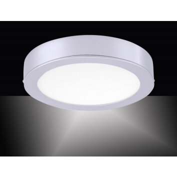 Leuchten-Direkt OSKAR ceiling light LED silver, 1-light source