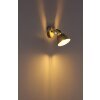 Globo GÜNTHER I Spotlight gold, white, 1-light source