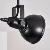 Tina Ceiling Light black, 2-light sources