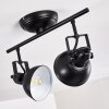 Tina Ceiling Light black, 2-light sources