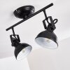 Tina Ceiling Light black, 2-light sources