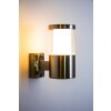 Leon exterior wall luminaire LED stainless steel, 1-light source