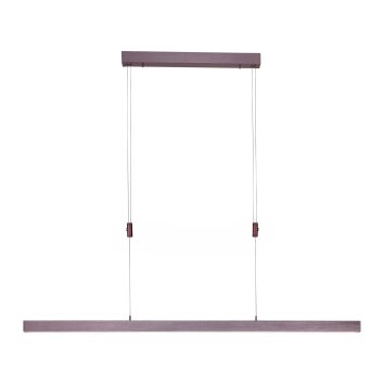 Pendant Light Paul Neuhaus ADRIANA LED brown, 3-light sources