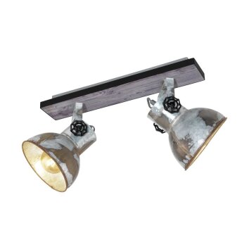 Eglo BARNSTAPLE Spot brown, 2-light sources