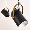 Riex Pendant Light black-gold, 5-light sources