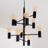 PAMUNKEY Pendant Light black, 10-light sources