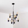 PAMUNKEY Pendant Light black, 10-light sources
