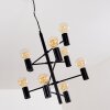 PAMUNKEY Pendant Light black, 10-light sources