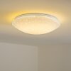 FOXES Ceiling Light LED white, 1-light source, Remote control, Colour changer