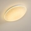 FOXES Ceiling Light LED white, 1-light source, Remote control, Colour changer