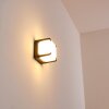 ARMOR Outdoor Wall Light LED anthracite, 1-light source