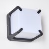 ARMOR Outdoor Wall Light LED anthracite, 1-light source