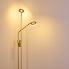 GULKANA Floor Lamp LED gold, 2-light sources