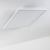 Lerum Ceiling Light LED white, 1-light source