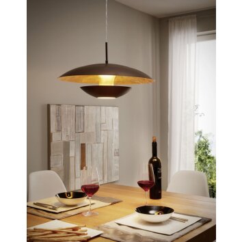Eglo NUVANO pendant light brown, gold, 1-light source