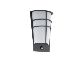 Eglo BREGANZO 1 Wall Light LED anthracite, 2-light sources, Motion sensor