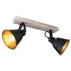 Globo GÜNTHER Spotlight gold, white, 2-light sources