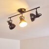 Tina Ceiling Light black, 3-light sources