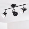 Tina Ceiling Light black, 3-light sources