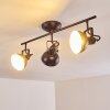 Tina Ceiling Light black, 3-light sources