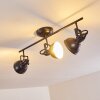 Tina Ceiling Light black, 3-light sources