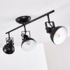 Tina Ceiling Light black, 3-light sources