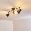 Tina Ceiling Light black, 3-light sources