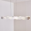 NAGOLD Pendant Light LED matt nickel, 1-light source
