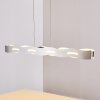 NAGOLD Pendant Light LED matt nickel, 1-light source