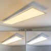Lerum Ceiling Light LED white, 1-light source, Remote control