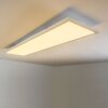 Lerum Ceiling Light LED white, 1-light source, Remote control