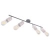 Globo FLECKI SpotLight grey, 4-light sources